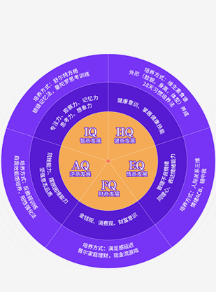 终身成就发展线